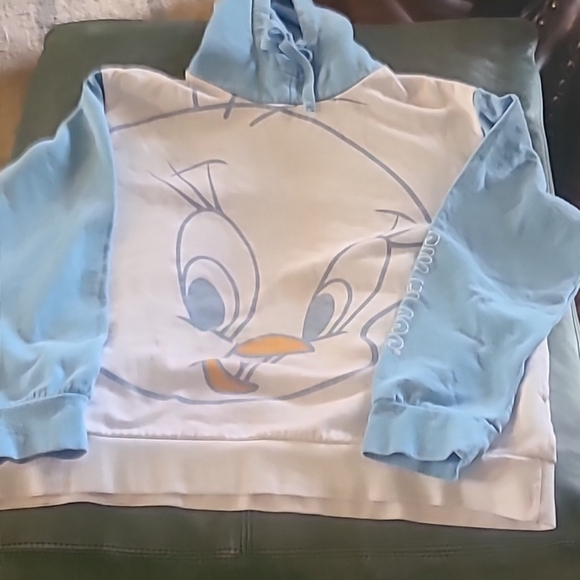 Disney:Tweety Bird from Six Flags . (#1575) Oversized Hoodie. 2 Pocket sz.XL - Picture 13 of 14